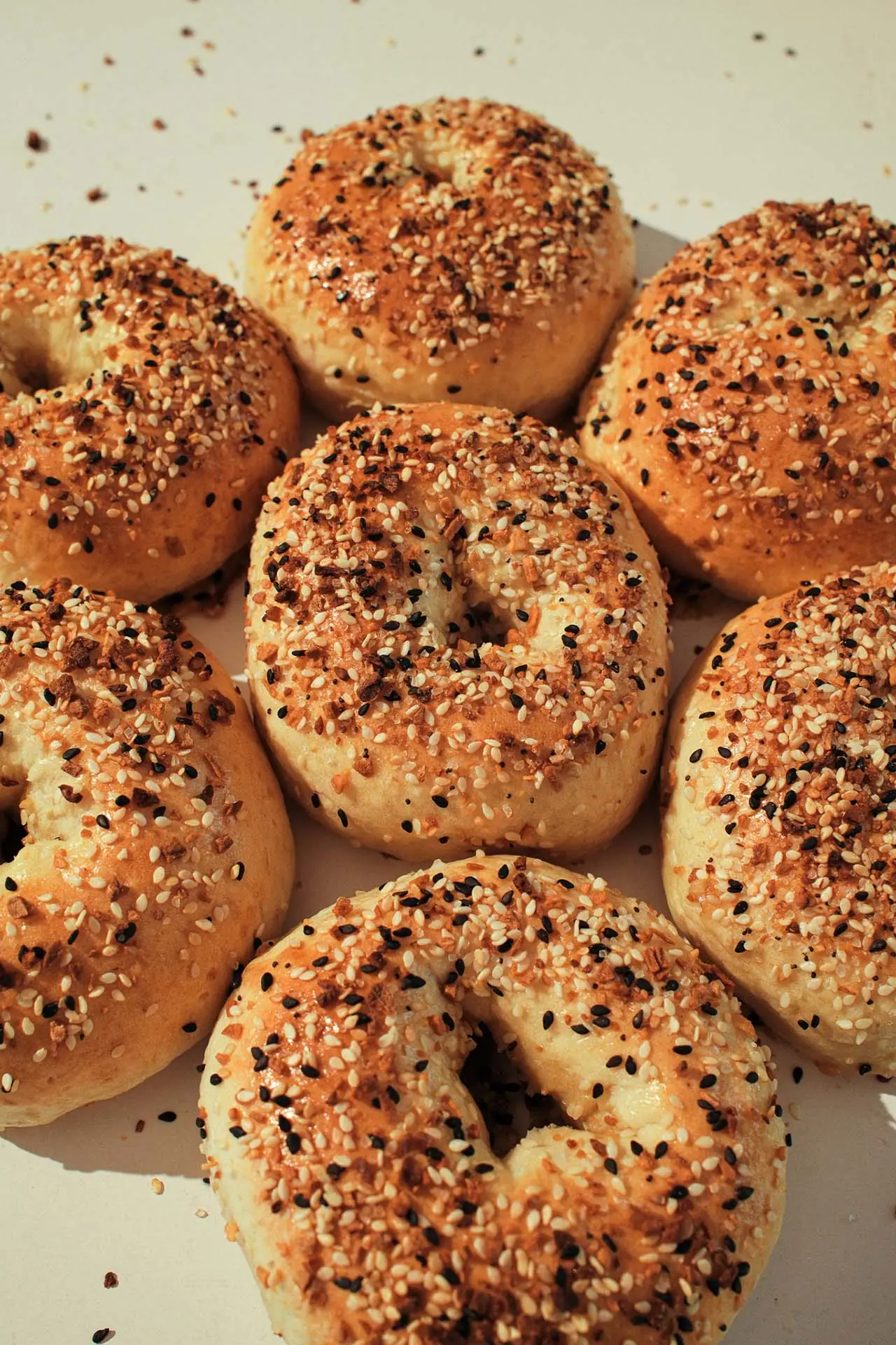 A close batch of everything bagels with deep, glossy, molasses-boiled crusts.