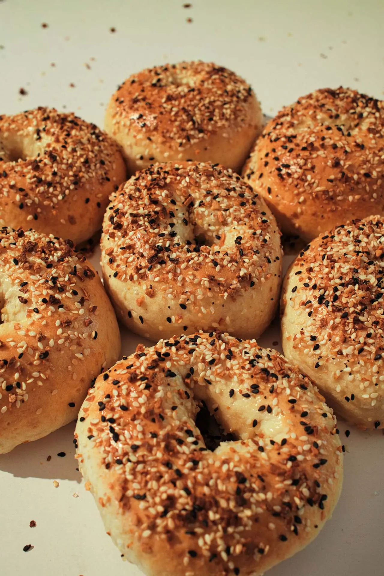 A close tray of everything bagels, crusts heavy with sesame, poppy, garlic and onion.